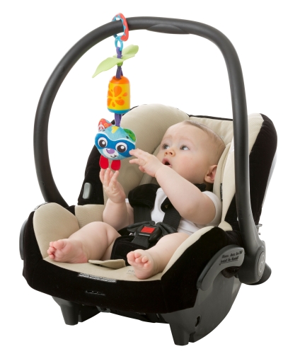 Playgro Cheeky Chimes Rotsachtige Wasbeer