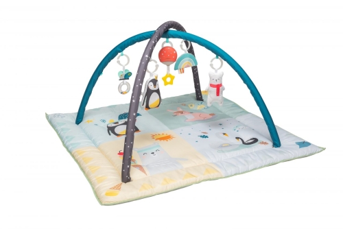 Taf Toys Speelmat North Pole 4 Seasons Gym