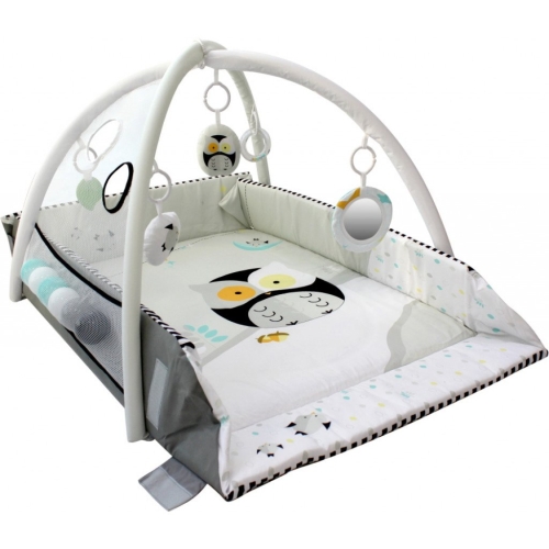 Tryco 5-in-1 Ball Play Activity Gym Lovely Owl