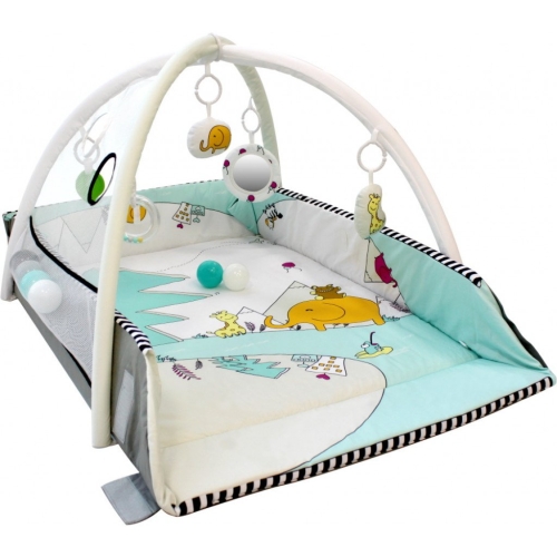 Tryco 5-in-1 Ball Play Activity Gym Lovely Park