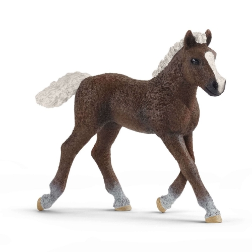 Schleich 13899 Schwarzwälder Veulen