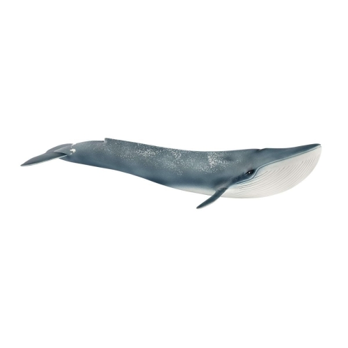 Schleich 14806 Blauwe vinvis