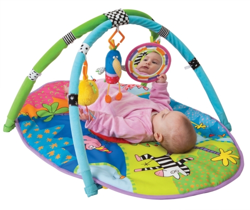 Taf Toys Safari Gym