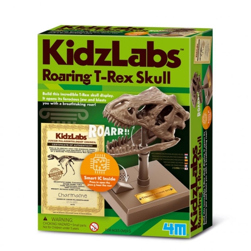 4M Kidzlabs Brullende T-Rex Schedel