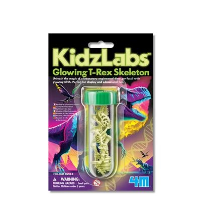 4M Kidzlabs Science Card T-Rex Skelet Glow-in-the-dark